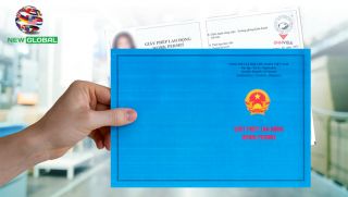 Cách xin cấp giấy phép cho người nước ngoài tại Việt Nam theo quy định